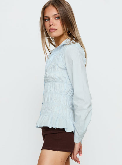 Cultivate Shirred Long Sleeve Top Blue