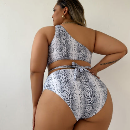 Plus Size One-Piece Swimsuit